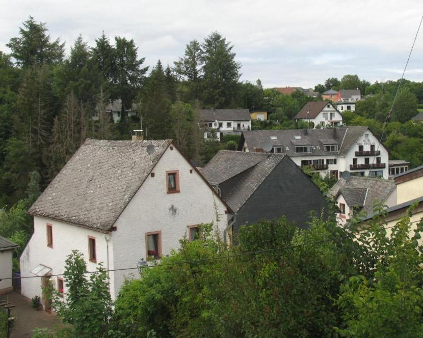 Um die Ecke Manderscheid Exterior foto